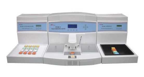 ����M���������C