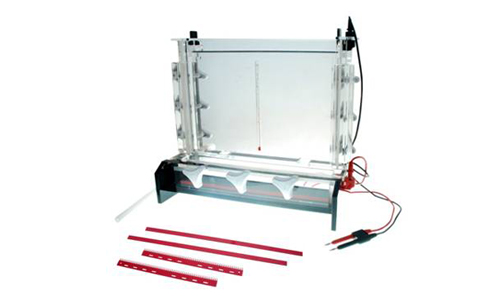 �y���Ӿ��