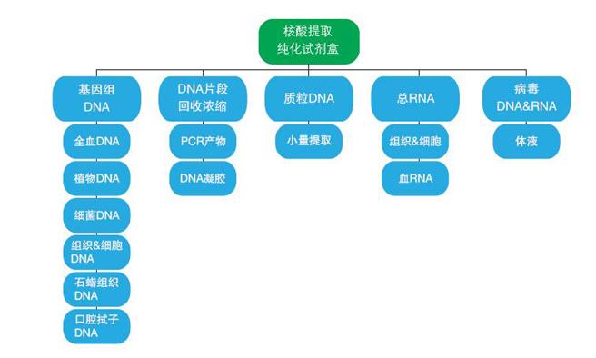 核酸純化試劑盒選擇指